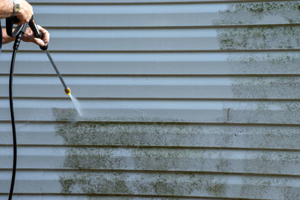 Best Shed Removal  in Gretna, LA